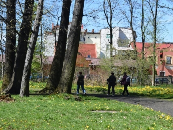 Nordic Walking- majowy spacer po żywieckim parku zamkowym z uczestnikami programu Senior/ka - zdjęcie 7