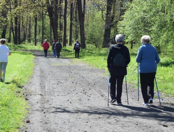 Nordic Walking- majowy spacer po żywieckim parku zamkowym z uczestnikami programu Senior/ka - zdjęcie 9