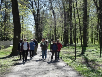 Nordic Walking- majowy spacer po żywieckim parku zamkowym z uczestnikami programu Senior/ka - zdjęcie 14