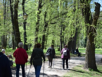 Nordic Walking- majowy spacer po żywieckim parku zamkowym z uczestnikami programu Senior/ka - zdjęcie 17