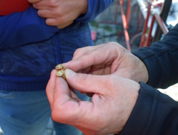 Wyniki XXXI Jesiennego Festiwalu Biegowego - zdjęcie 208