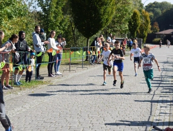 Wyniki XXXI Jesiennego Festiwalu Biegowego - zdjęcie 301