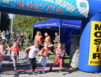 Wyniki XXXI Jesiennego Festiwalu Biegowego - zdjęcie 375