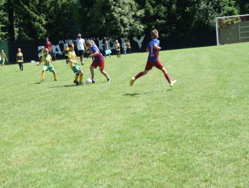 Dni Żywca 18.06.2022 r. - zdjęcie 24