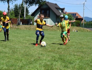 Dni Żywca 18.06.2022 r. - zdjęcie 30