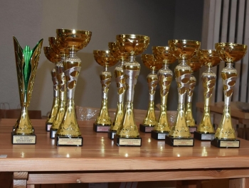 XXXII Jesienny Festiwal Biegowy- wyniki + zdjęcia - zdjęcie 249