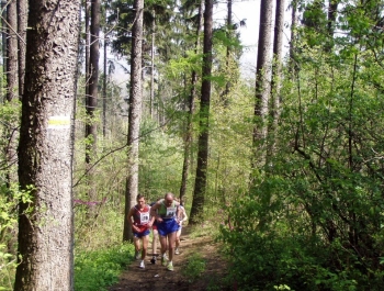 WIOSENNY FESTIWAL BIEGOWY - WYNIKI BIEGU NA GROJEC ORAZ BIEGÓW DZIECI - zdjęcie 1