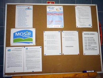 Relacja z Rodzinnych Sztafet Pływackich - zdjęcie 10