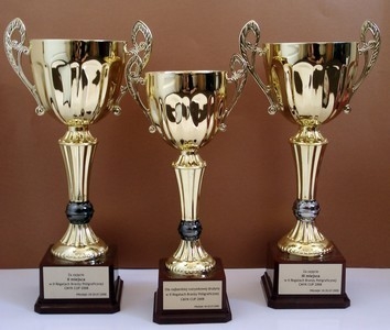 KLASYFIKACJA GENERALNA SZKÓŁ PODSTAWOWYCH PO ELIMINACJACH MIEJSKICH DO POWIATOWYCH IGRZYSK MŁODZIEZY SZKOLNEJ .