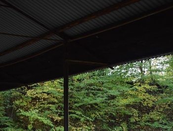 Wyniki Mistrzostw Miasta Żywca w Strzelectwie - zdjęcie 15