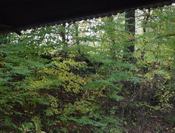 Wyniki Mistrzostw Miasta Żywca w Strzelectwie - zdjęcie 16