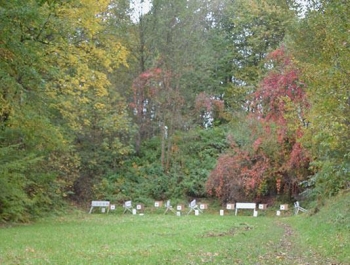 Wyniki Mistrzostw Miasta Żywca w Strzelectwie - zdjęcie 22