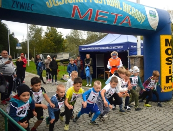 Wyniki XXXIV Jesiennego Festiwalu Biegowego - zdjęcie 11