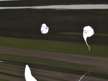 Pożegnanie wakacji przy SP3 oraz SP6. - zdjęcie 1