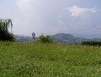 FESTYN SPORTOWO &#8211; REKREACYJNY DLA DZIECI &#8222;WAKACJE NA SPORTOWO i WESOŁO&#8221; - zdjęcie 9