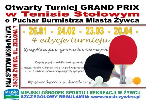 Grand Prix w Tenisie Stołowym 2013