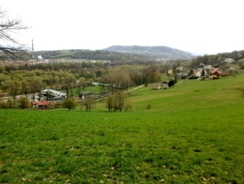 Wiosenny Festiwal Biegowy - zdjęcie17