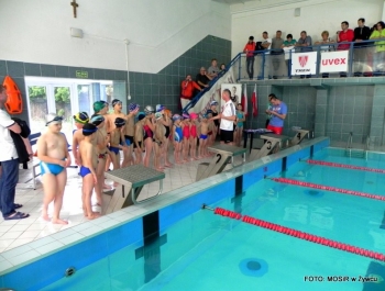 Zakończenie zajęć szkółki pływackiej - zdjęcie1