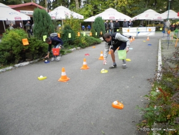 sadzenie i zbieranie ziemniaków