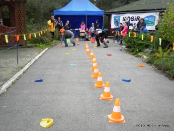 Rywalizacja na szczeblu dyrektorskim - sadzenie i zbieranie ziemniaków