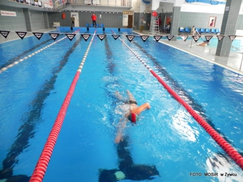Wyniki zawodów pływackich