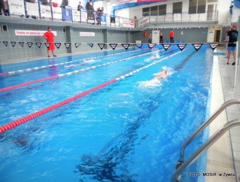 zmagania młodych pływaków