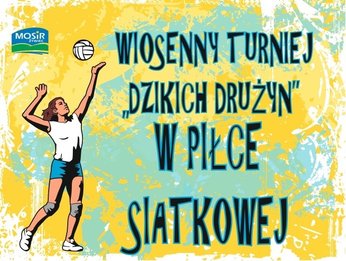 WIOSENNY TURNIEJ DZIKICH DRUŻYN W PIŁCE SIATKOWEJ