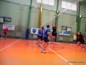 Wiosenny Turniej "Dzikich Drużyn" w Piłce Siatkowej - relacja - zdjęcie15