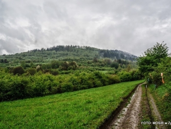 Wiosenny Festiwal Biegowy - 26.04.2014 - zdjęcie59