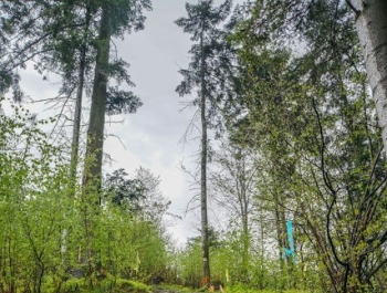 Wiosenny Festiwal Biegowy - 26.04.2014 - zdjęcie58