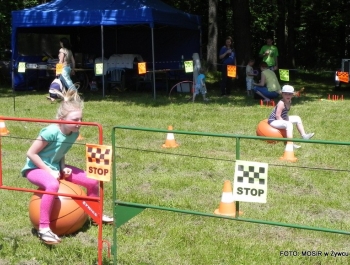 Festyn " RODZINNIE DO ZDROWIA" - zdjęcie15