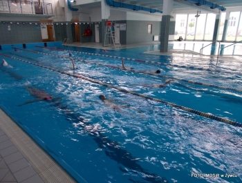 Podsumowanie kolejnego roku działalności Szkółki Pływackiej MOSiR-u w Żywcu - zdjęcie18