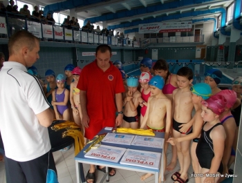 Podsumowanie kolejnego roku działalności Szkółki Pływackiej MOSiR-u w Żywcu - zdjęcie12
