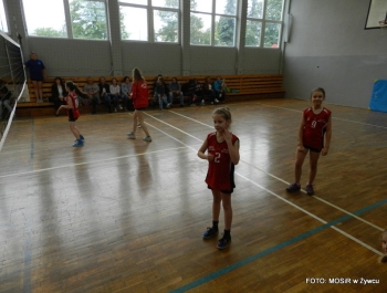 Sukcesy siatkarek UKS-u ATOM ŻYWIEC - zdjęcie8