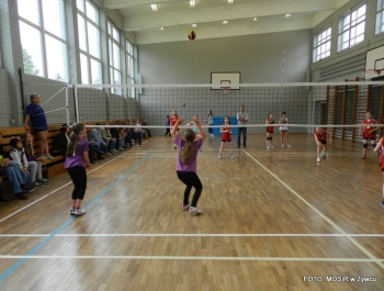 Sukcesy siatkarek UKS-u ATOM ŻYWIEC - zdjęcie11