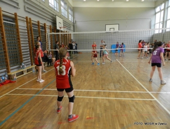 Sukcesy siatkarek UKS-u ATOM ŻYWIEC - zdjęcie12