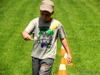 Boisko Sportowe w Parku Miejskim