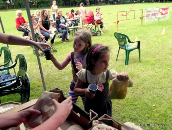 Boisko Sportowe w Parku Miejskim