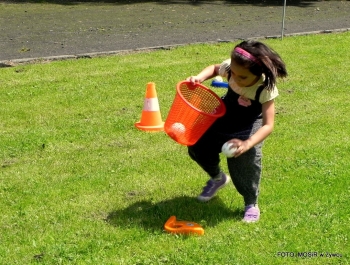 Boisko Sportowe w Parku Miejskim