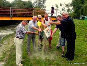 FOTORELACJA Z FESTYNU - ul. Tetmajera - zdjęcie20