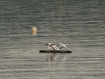 PUCHAR CENTRALNEJ EUROPY MODELI WODNOSAMOLOTÓW - zdjęcie37