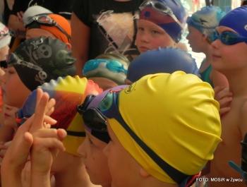 WYNIKI - I EDYCJA PŁYWACKIEJ LIGI SZKOLNEJ - zdjęcie52