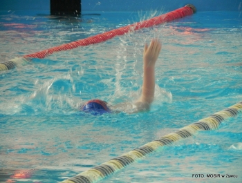 WYNIKI - I EDYCJA PŁYWACKIEJ LIGI SZKOLNEJ - zdjęcie44