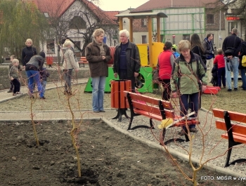 NOWY, BEZPIECZNY PLAC ZABAW NA OSIEDLU  MŁODYCH od 12.XI.2014 - zdjęcie63