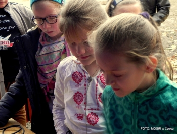 NOWY, BEZPIECZNY PLAC ZABAW NA OSIEDLU  MŁODYCH od 12.XI.2014 - zdjęcie7