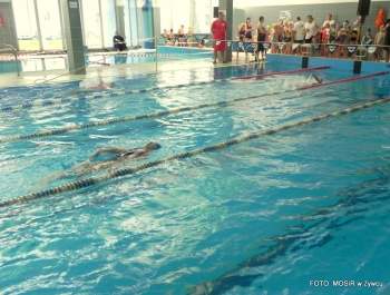 PŁYWACKA LIGA SZKOLNA - II EDYCJA. WYNIKI I FOTOREPORTAŻ - zdjęcie65