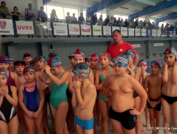 6.XII MIKOŁAJ NAGRADZAŁ ZWYCIĘZCÓW MIKOŁAJOWYCH ZAWODÓW PŁYWACKICH DLA UCZESTNIKÓW SZKÓŁKI MOSiR W ŻYWCU - zdjęcie62