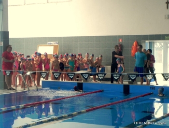 6.XII MIKOŁAJ NAGRADZAŁ ZWYCIĘZCÓW MIKOŁAJOWYCH ZAWODÓW PŁYWACKICH DLA UCZESTNIKÓW SZKÓŁKI MOSiR W ŻYWCU - zdjęcie58