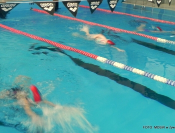 6.XII MIKOŁAJ NAGRADZAŁ ZWYCIĘZCÓW MIKOŁAJOWYCH ZAWODÓW PŁYWACKICH DLA UCZESTNIKÓW SZKÓŁKI MOSiR W ŻYWCU - zdjęcie42