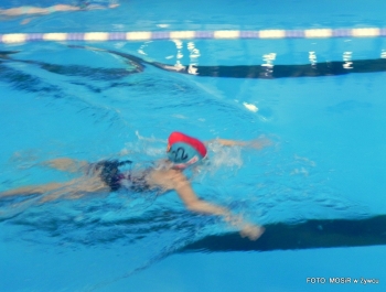 6.XII MIKOŁAJ NAGRADZAŁ ZWYCIĘZCÓW MIKOŁAJOWYCH ZAWODÓW PŁYWACKICH DLA UCZESTNIKÓW SZKÓŁKI MOSiR W ŻYWCU - zdjęcie39